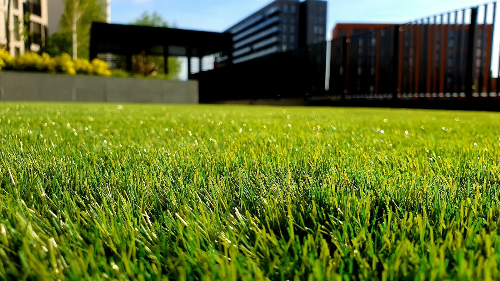 Freshly mowed lawn (stock placeholder)