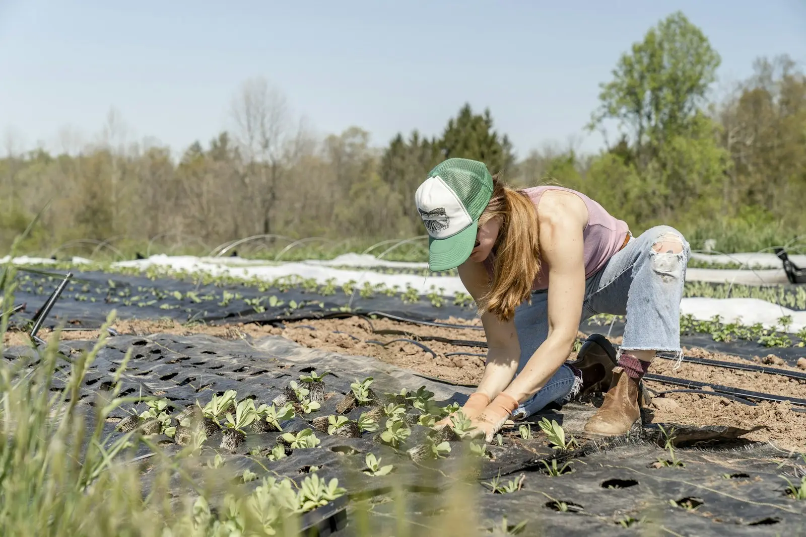 Person working in a planting bed (stock placeholder)